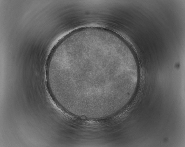 X0000115600935200912221143