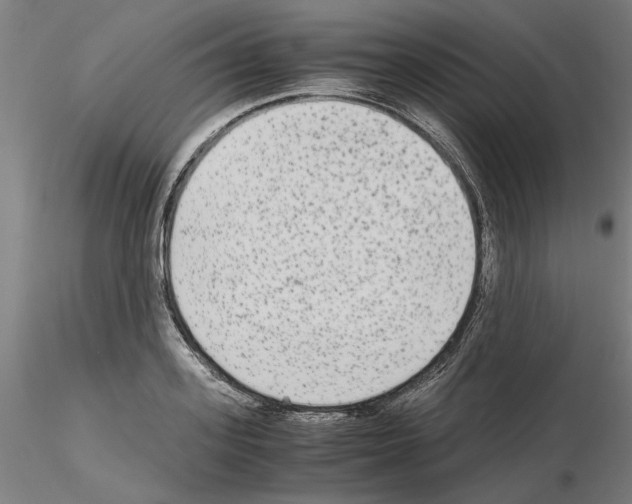 X0000115600939200912221143