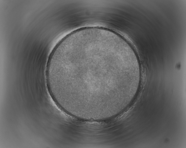 X0000115600943200912221143