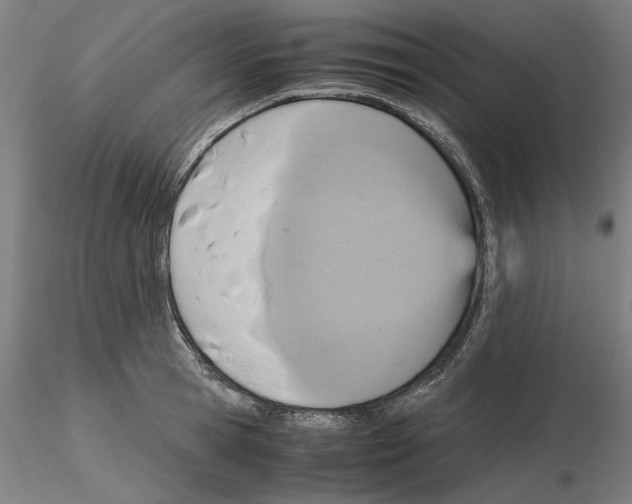 X0000115600945200912221143