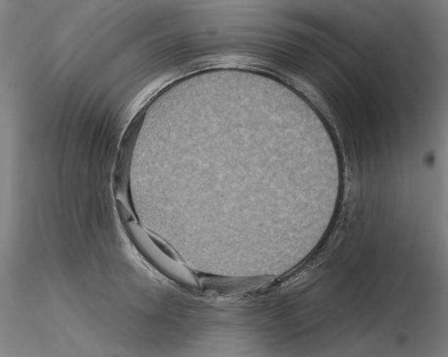 X0000115600946200912221143