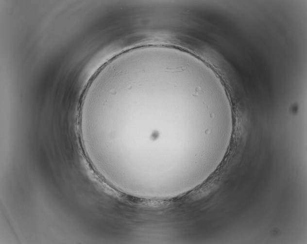 X0000115600950200912221143