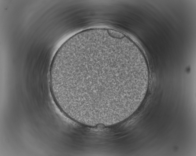 X0000115600951200912221143