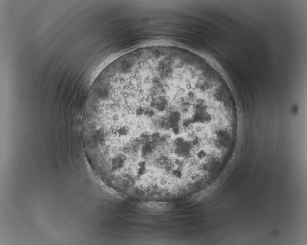 X0000115600953200912221143