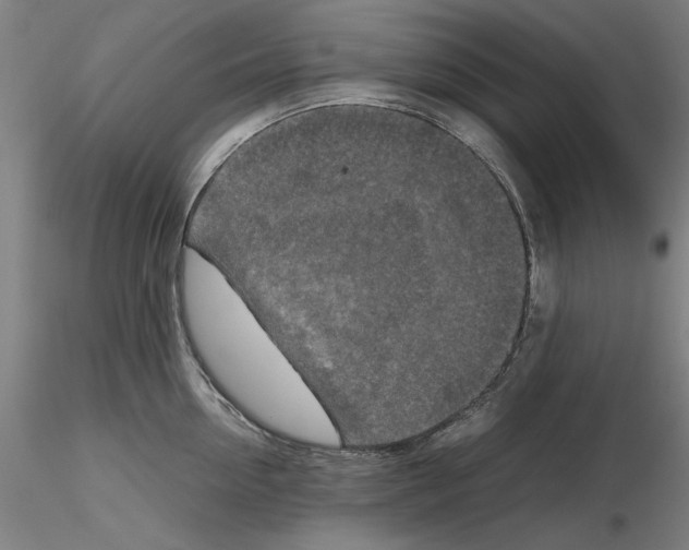 X0000115600954200912221143