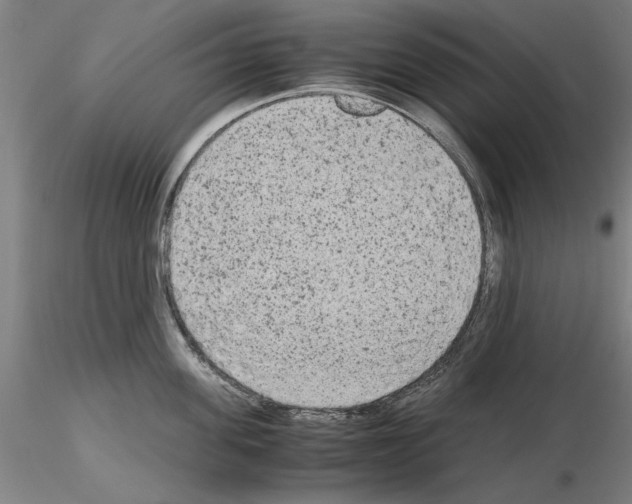 X0000115600955200912221143