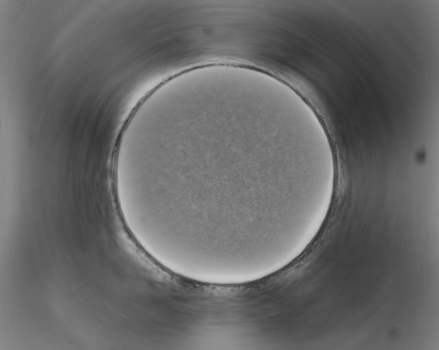 X0000115600958200912221143