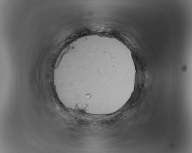 X0000115600961200912221143