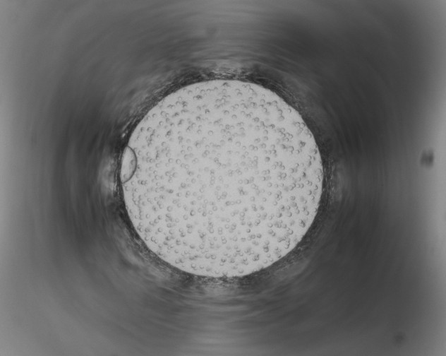 X0000115600962200912221143