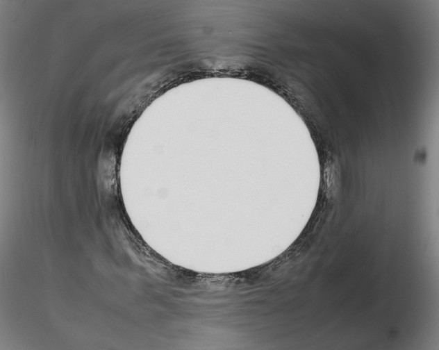 X0000115600963200912221143