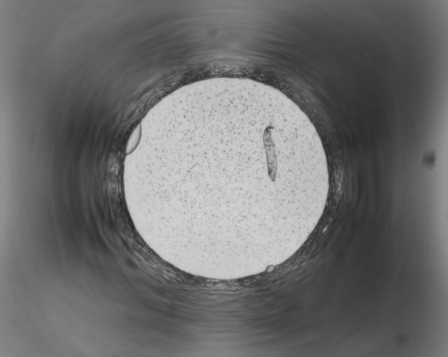 X0000115600964200912221143