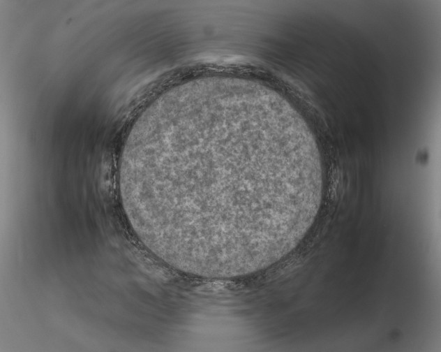 X0000115600966200912221143