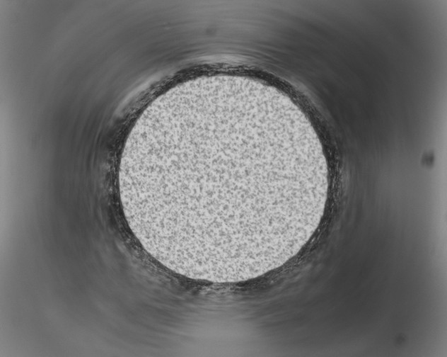 X0000115600967200912221143