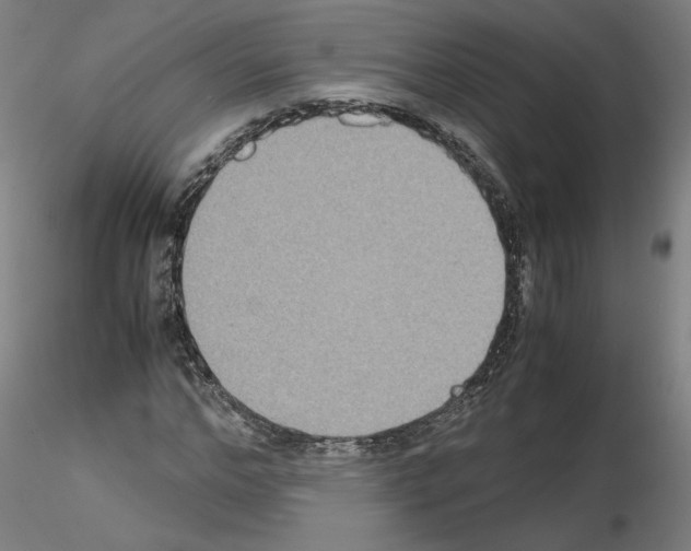 X0000115600968200912221143