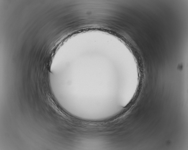 X0000115600969200912221143