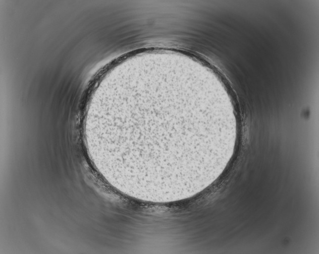 X0000115600971200912221143