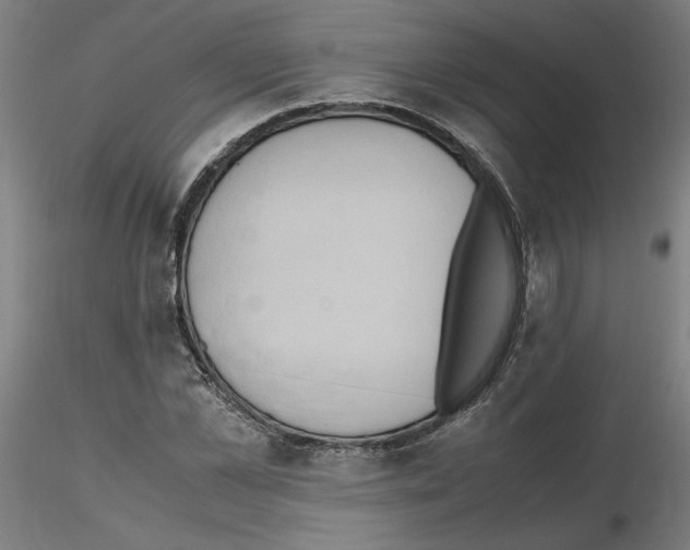 X0000115600973200912221143