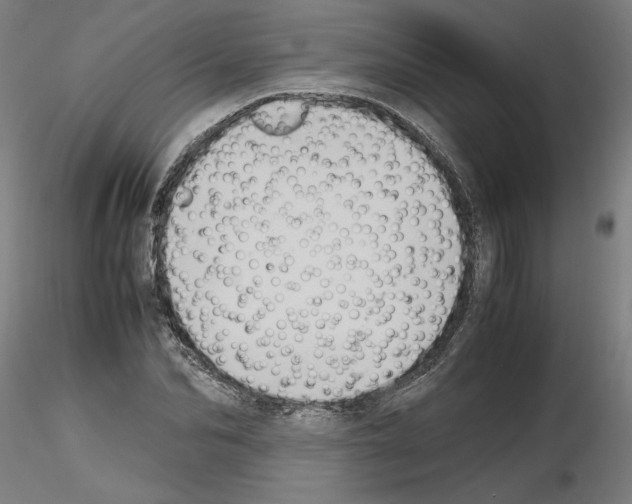 X0000115600974200912221143