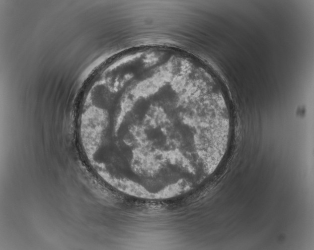 X0000115600975200912221143