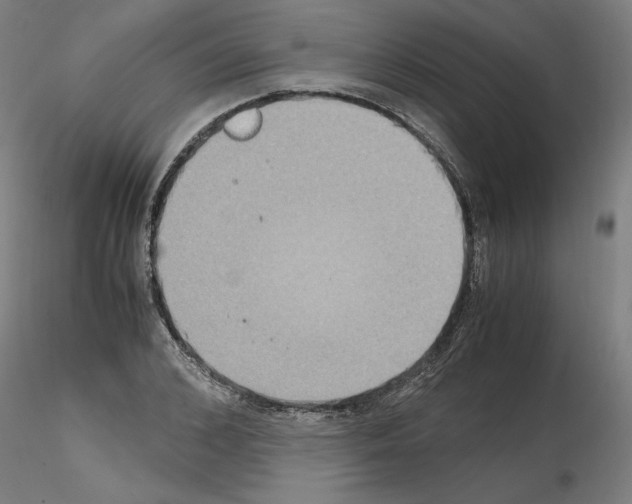 X0000115600976200912221142