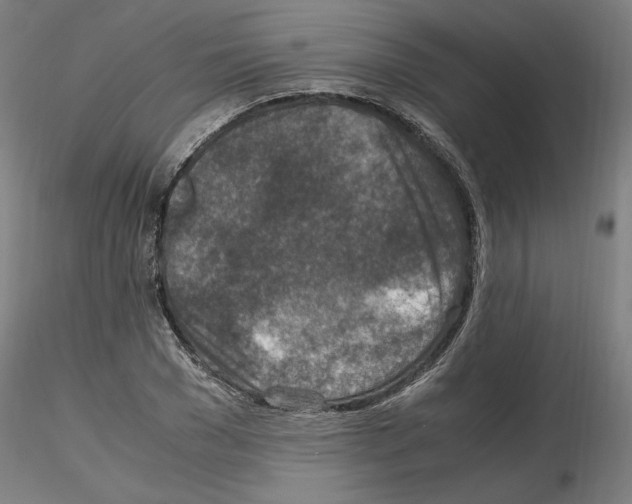 X0000115600977200912221142