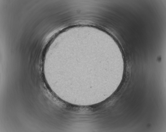 X0000115600979200912221142