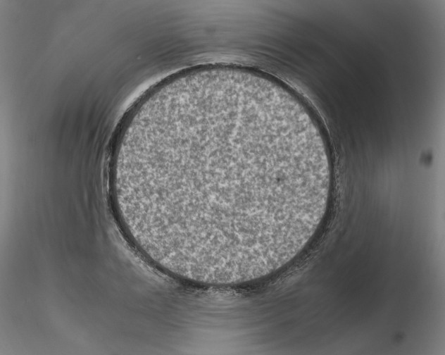 X0000115600983200912221142