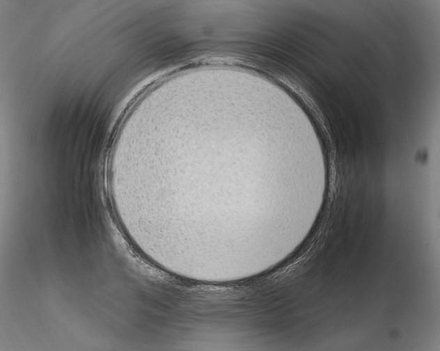 X0000115600984200912221142