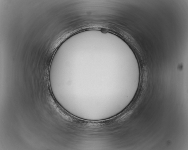 X0000115600985200912221142