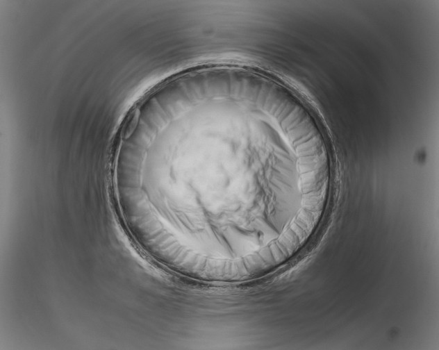 X0000115600989200912221142