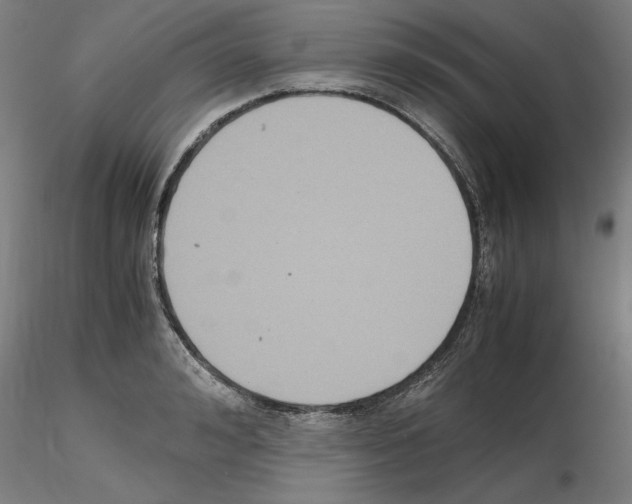 X0000115600992200912221142