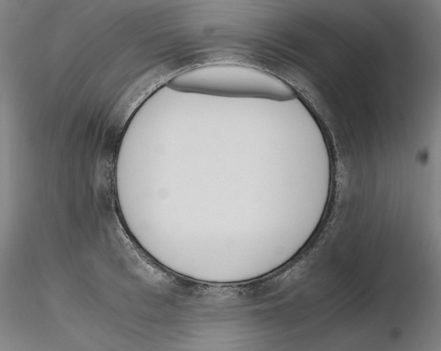 X0000115600993200912221142