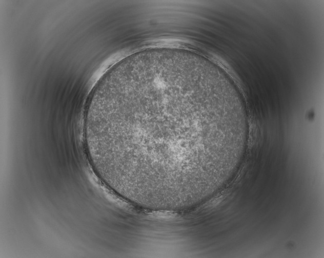 X0000115600994200912221142