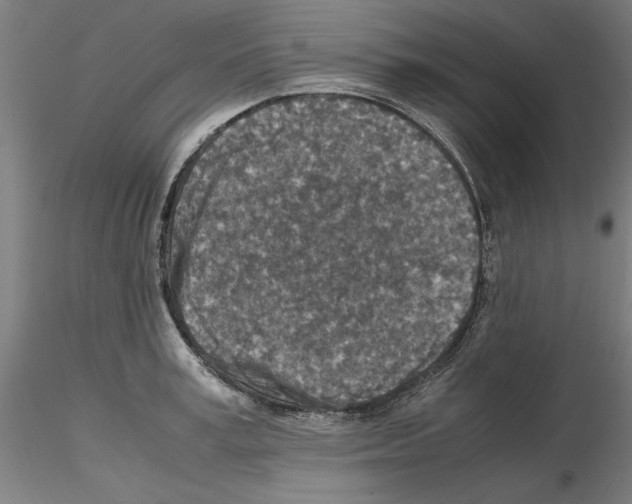 X0000115600995200912221142