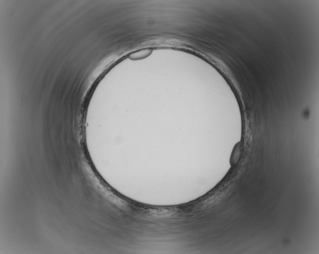 X0000115600997200912221142