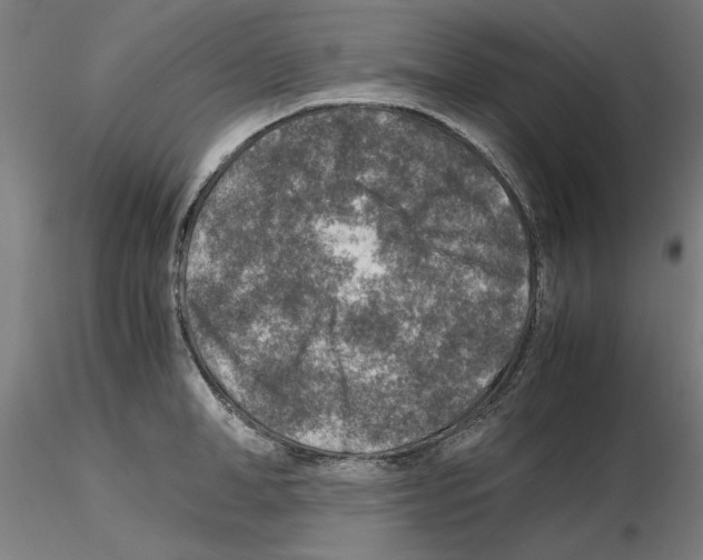 X0000115600998200912221142