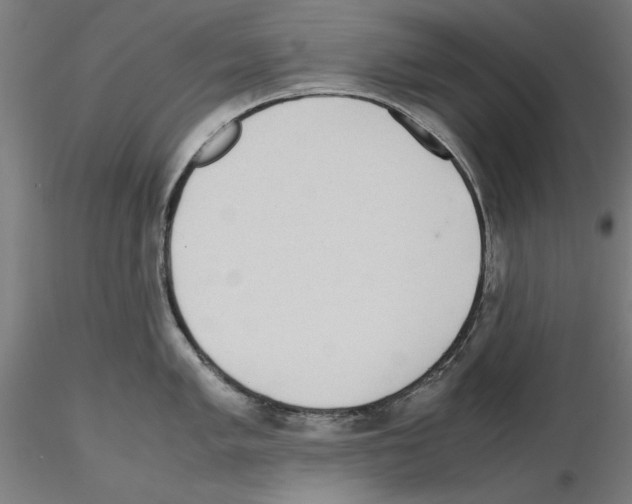 X0000115601005200912221142