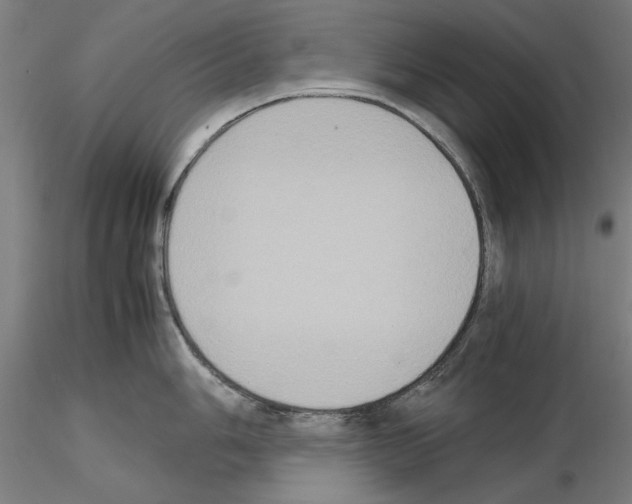 X0000115601006200912221142