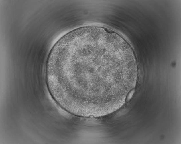 X0000115601007200912221142