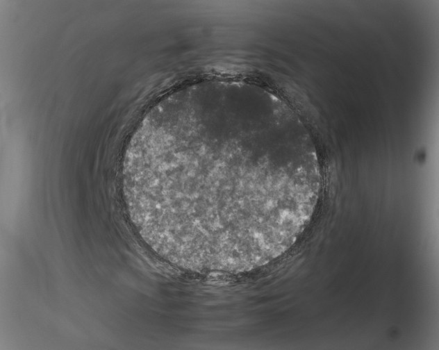 X0000115601009200912221141