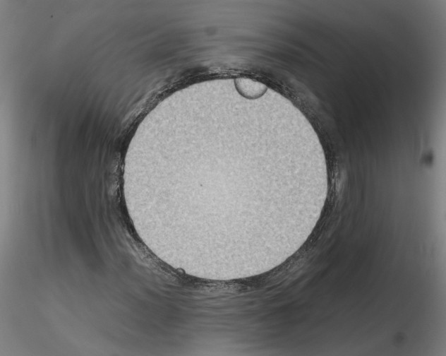 X0000115601012200912221141