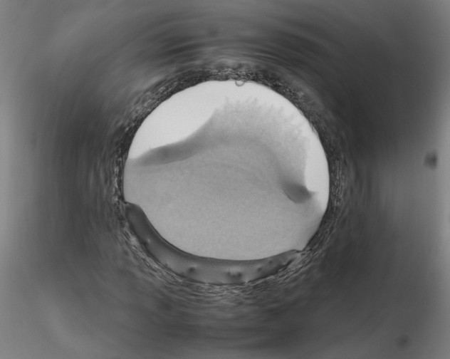 X0000115601013200912221141