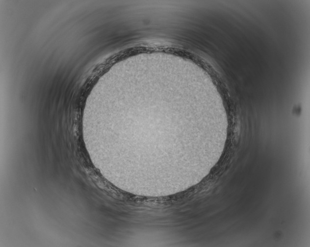 X0000115601016200912221142