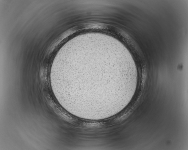 X0000115601017200912221142