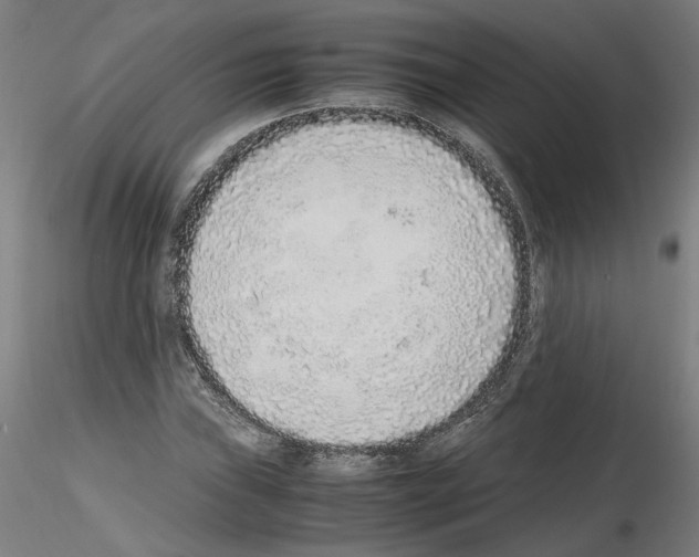 X0000115601019200912221142