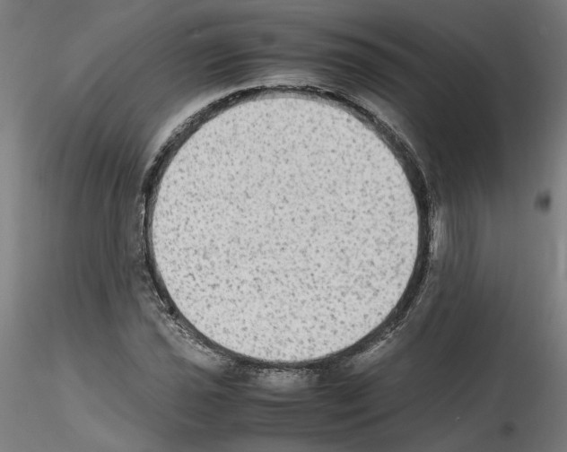 X0000115601021200912221142