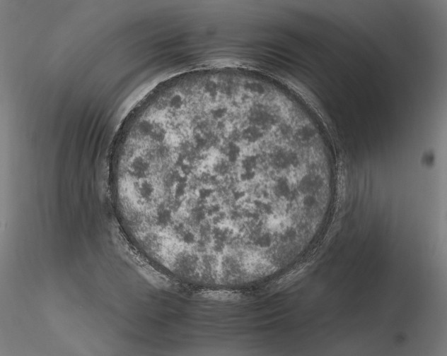 X0000115601023200912221142