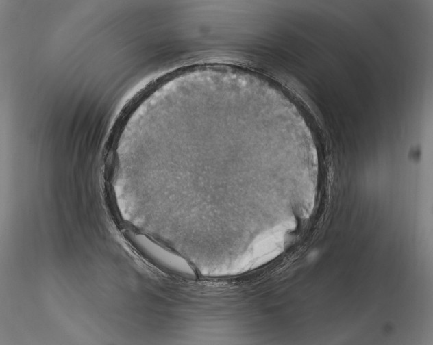 X0000115601024200912221142