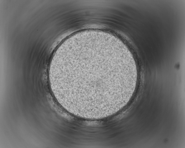 X0000115601025200912221142