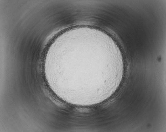 X0000115601027200912221142